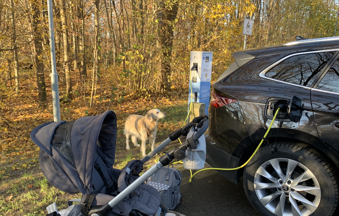 Unser Hund sieht die Elektromobilität noch etwas skeptisch ?