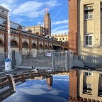 Spieglein, Spiegelei auf dem Dach, wer ist der schönste ....