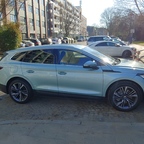 Blue Lady in the sunshine