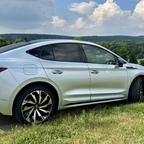 Das erste Mal in freier Wildbahn