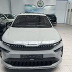 Skoda Enyaq Stahlgrau